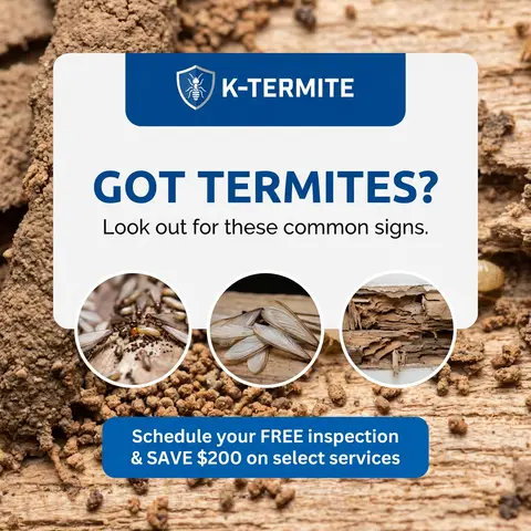 Pest control free inspection ad